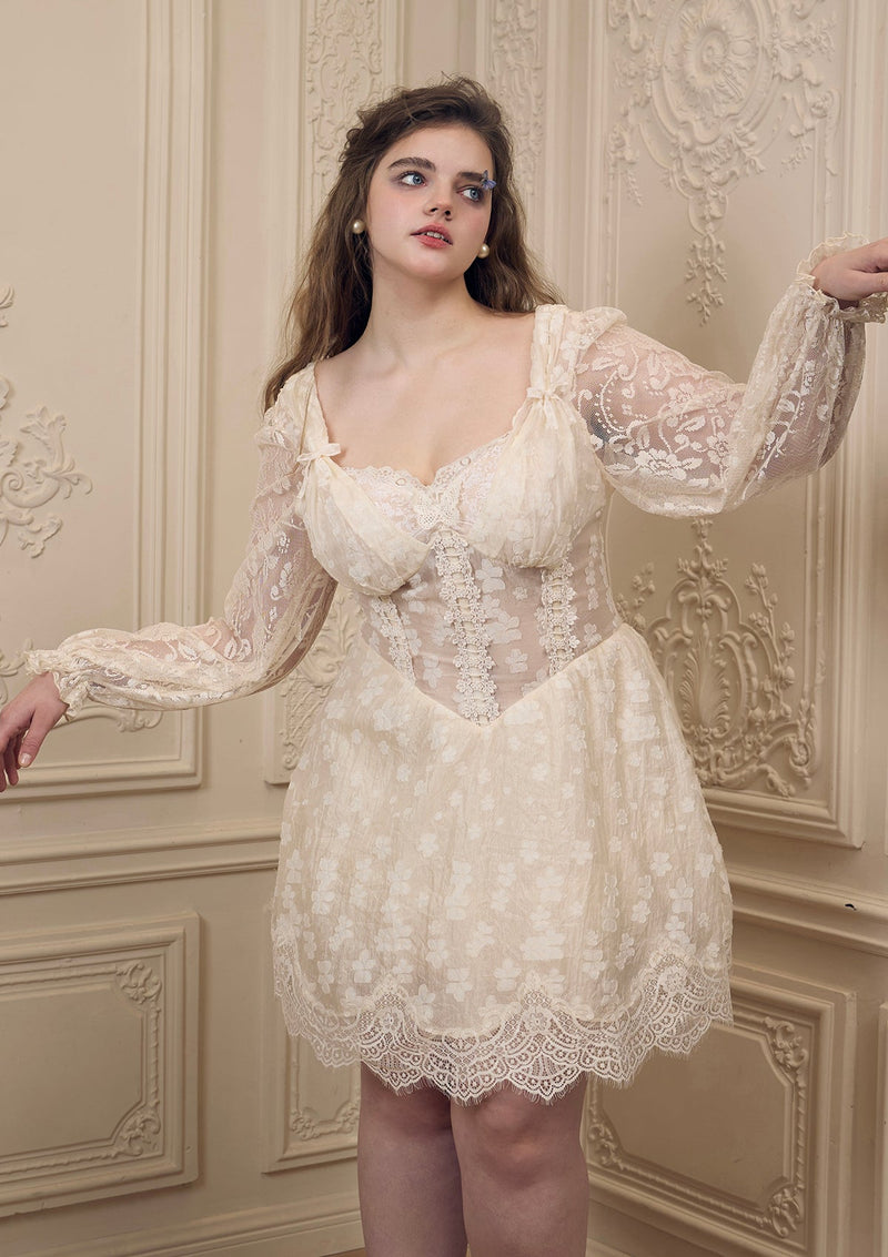 Curve & Plus Butterfly Dollhouse Corset Dress